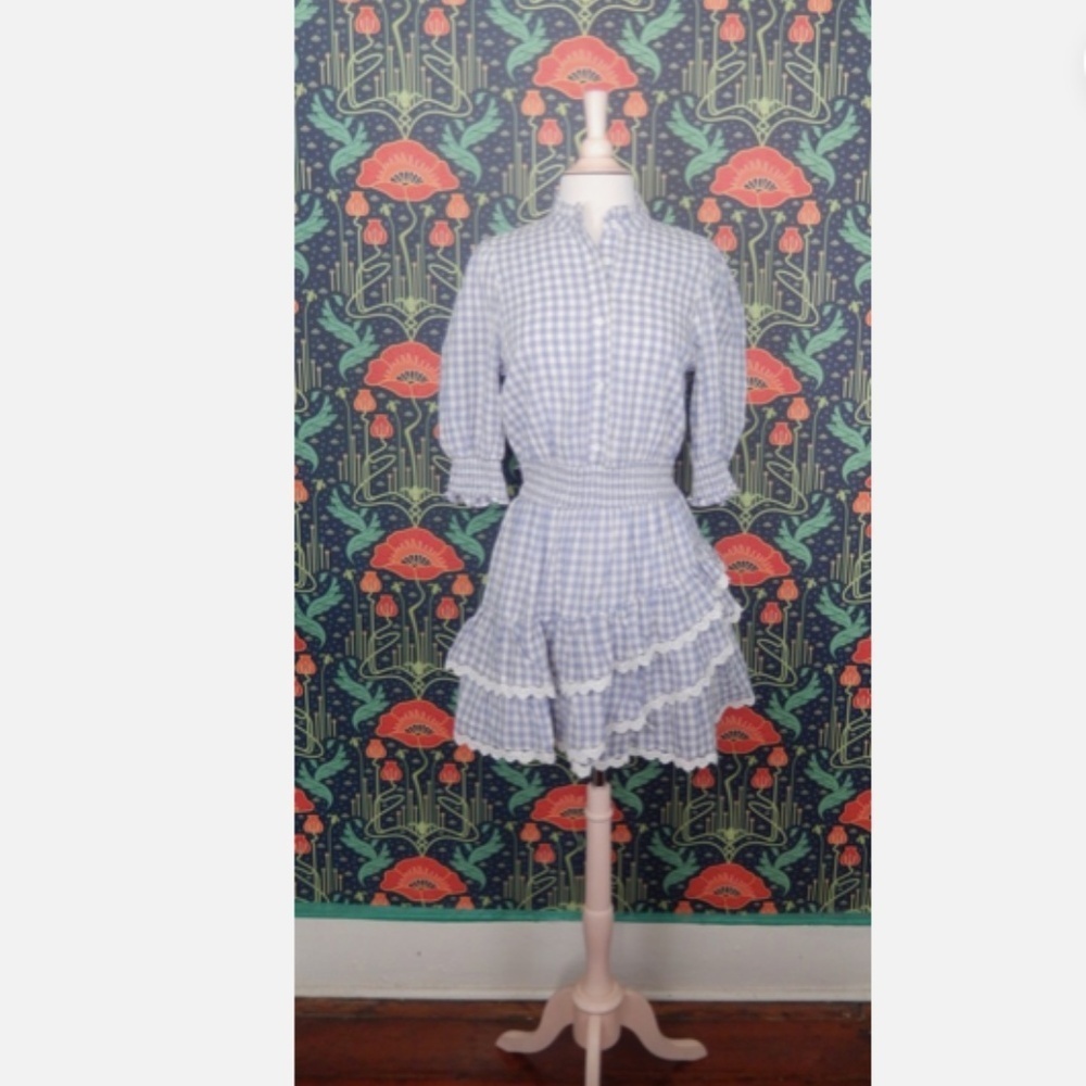 The Shirt Rochelle Behrens Brigitte Blue White Gingham Mini Dress - Picture 2 of 8
